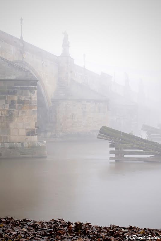 Mlha pod mostem - Foto: David Šedivý