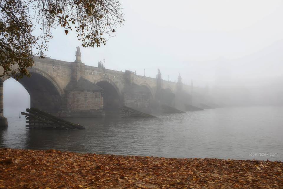Podzim u mostu - Foto: Robin Rezek