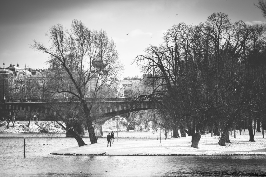 Černobílá krása zimní Prahy - Foto: 2016 © Ales Nahly, Photographer