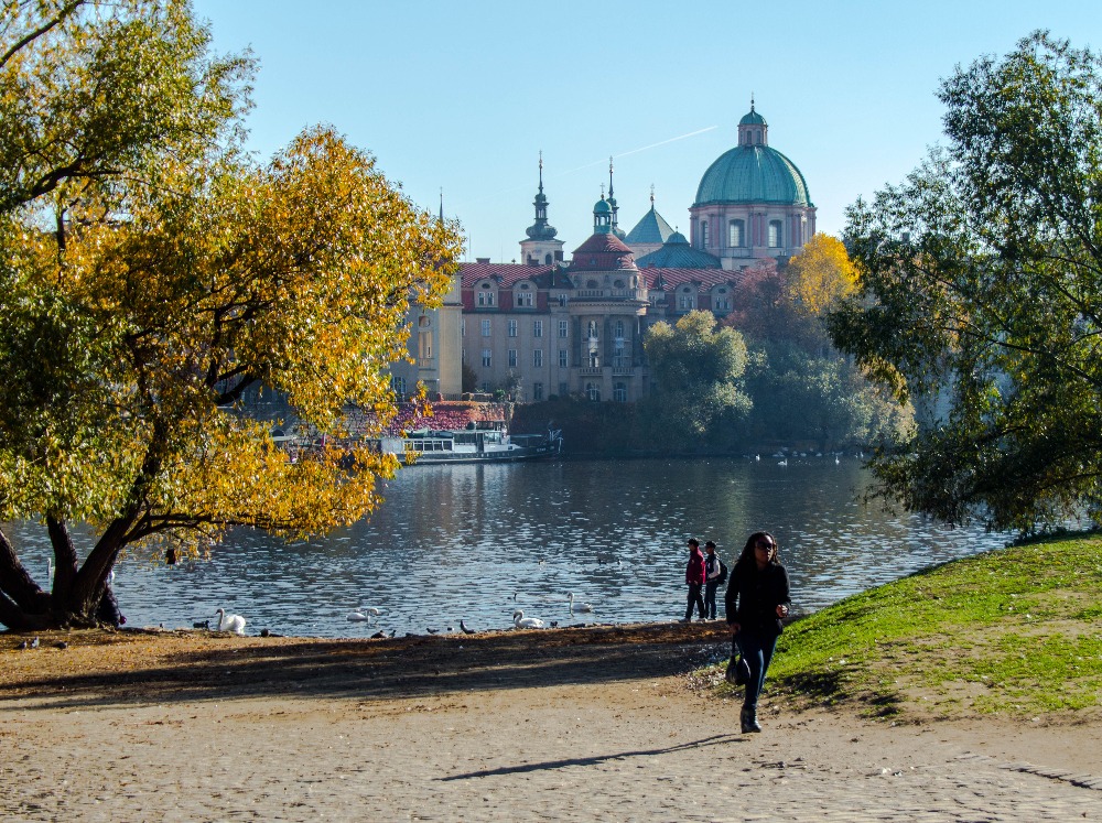 "U řeky listopadové ráno evokovalo jaro,mlha začala ustupovat slunečním paprskům." - Foto: Olga Smrčková