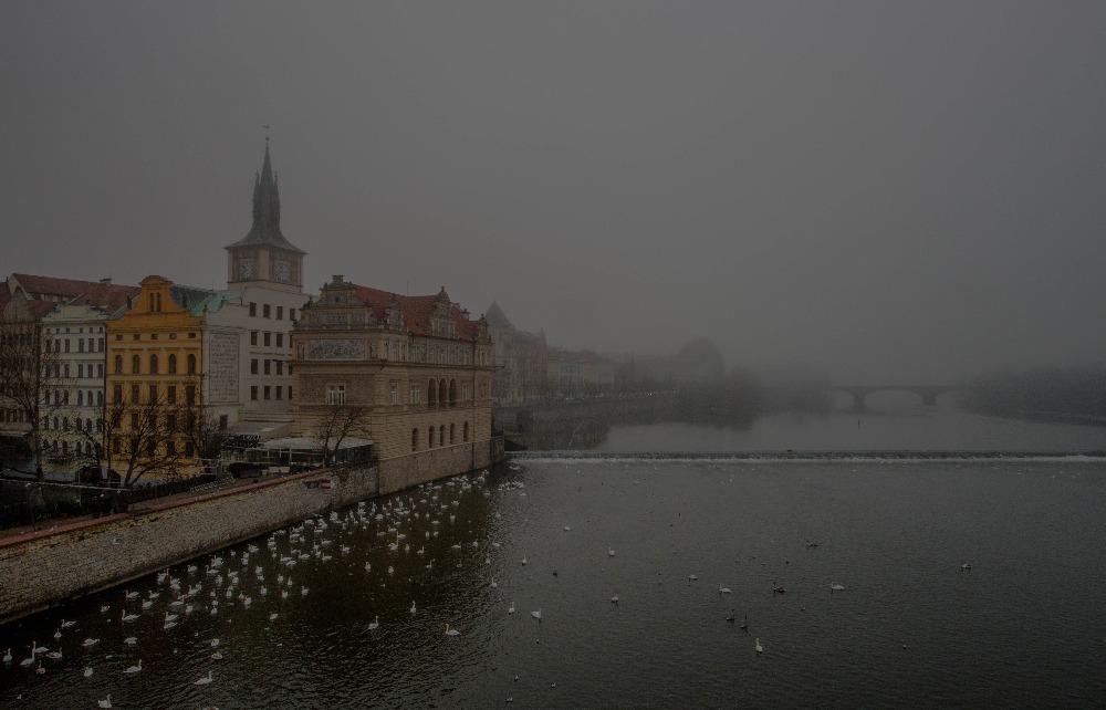 "Výhled z Karlova mostu byl mlhou okrášlen" - Foto: Olga Smrčková
